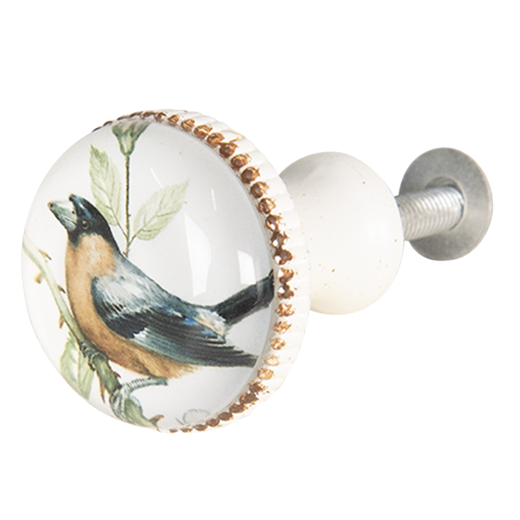 deurknop meubelknop vogel
