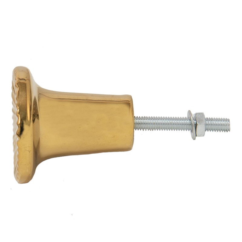 deurknop meubelknop rond goud goudkleurig goed gestyled brielle meubelknopjes