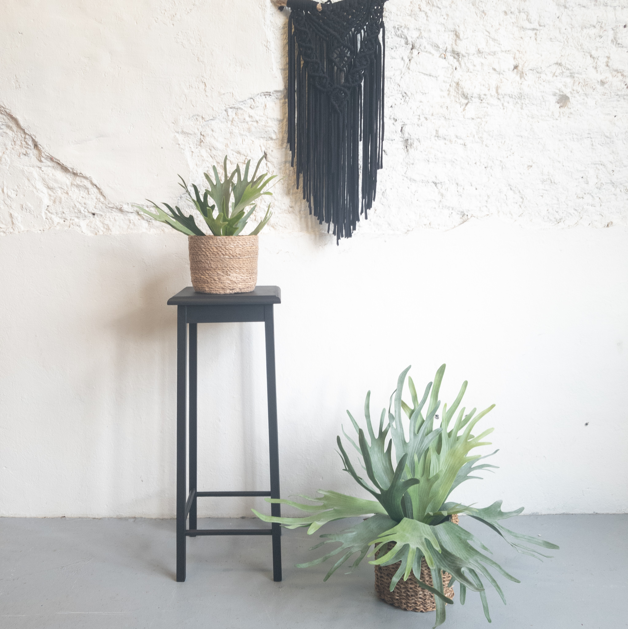 Plantentafeltje zwart coal black Fusion Mineral paint Goed Gestyled Brielle