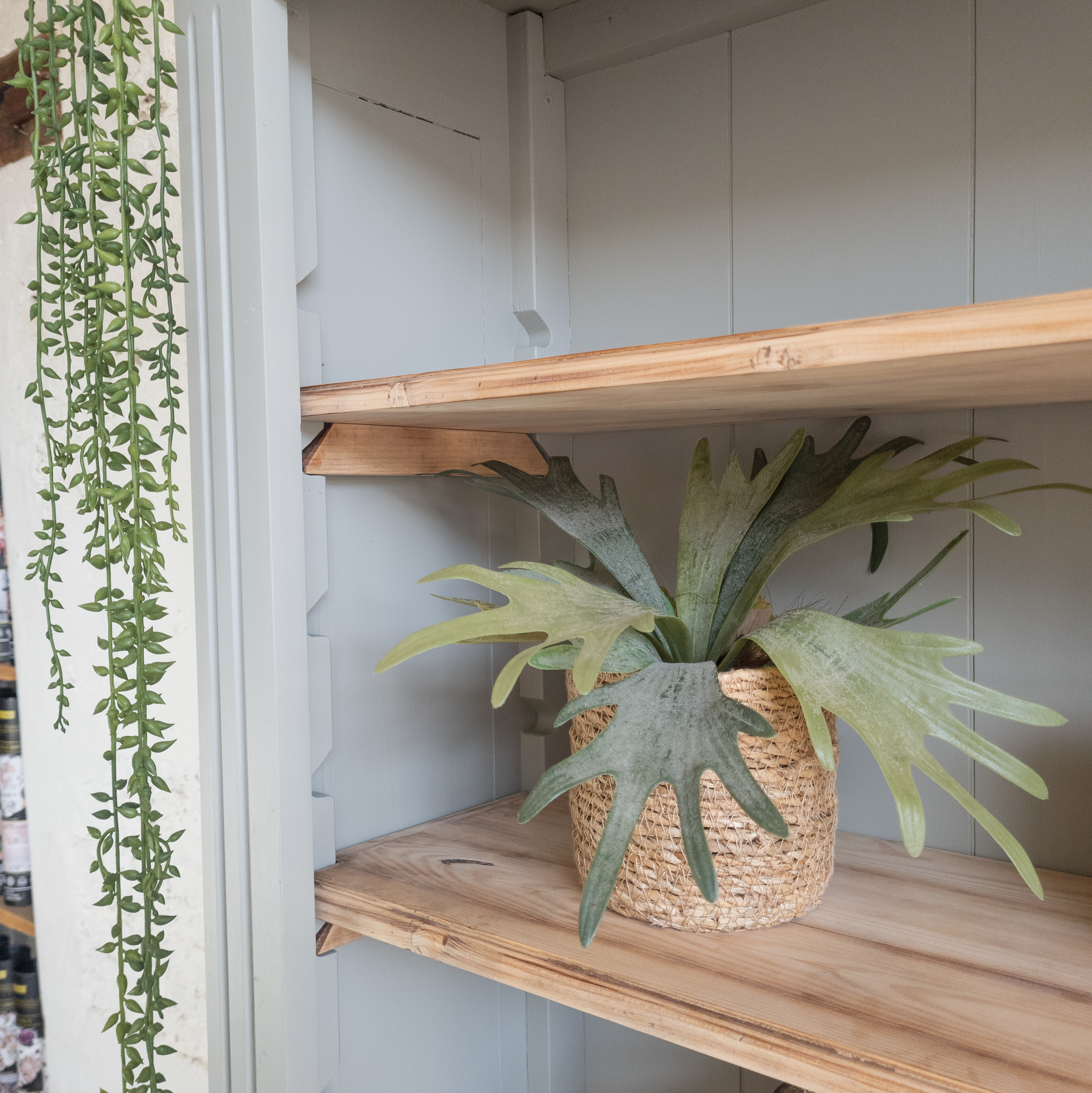 zacht groene boekenkast met blank grenen houten  planken. geverfd door goed gestyled brielle Eucalyptus Fusion Mineral Paint