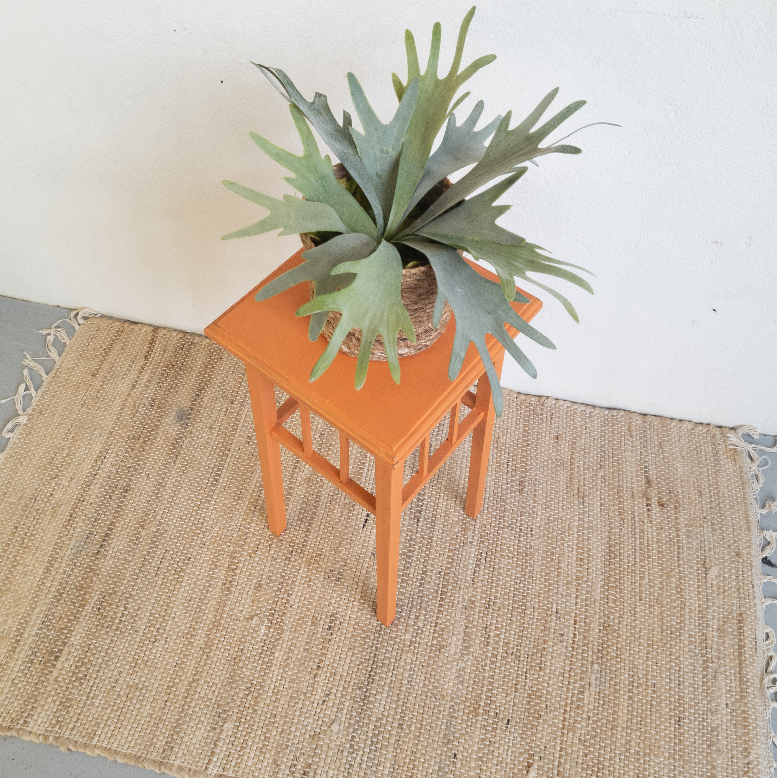 Leuke plantentafel geverfd door goed gestyled met Fusion Mineral Paint Tuscan Orange