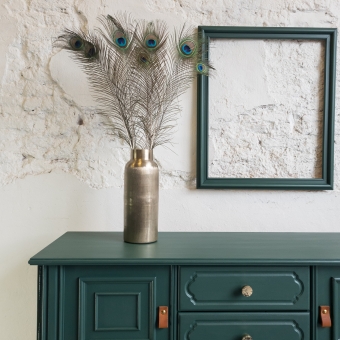 Dressoir geverfd door Goed Gestyled brielle. opgeknapt met Fusion Mineral Paint Pressed fern. Gouden knoppen en lerenhandgrep