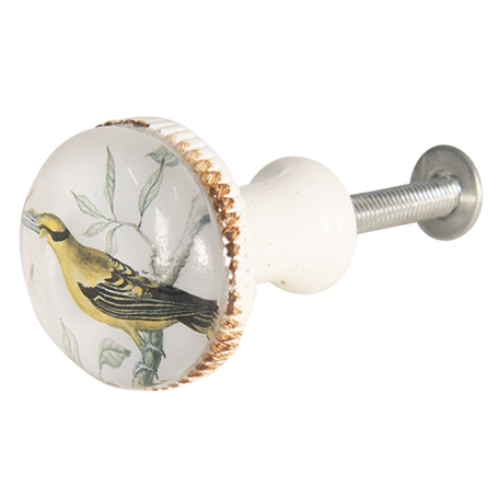 deurknop meubelknop vogel gele vogel