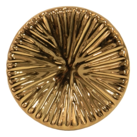deurknop meubelknop rond goud goudkleurig goed gestyled brielle meubelknopjes