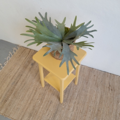 Leuke plantentafel geverfd door goed gestyled met Fusion Mineral Paint Prairie Sunset geel