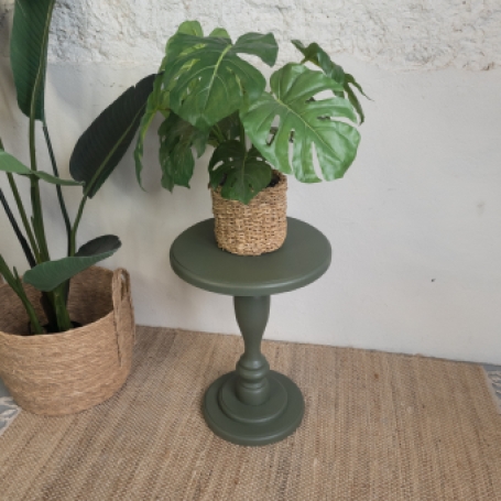 Leuke plantentafel geverfd door goed gestyled met Fusion Mineral Paint bayberry groen
