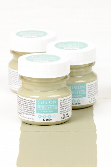 Lichen Fusion Mineral Paint Goed Gestyled Brielle