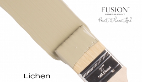 Lichen Fusion Mineral Paint Goed Gestyled Brielle